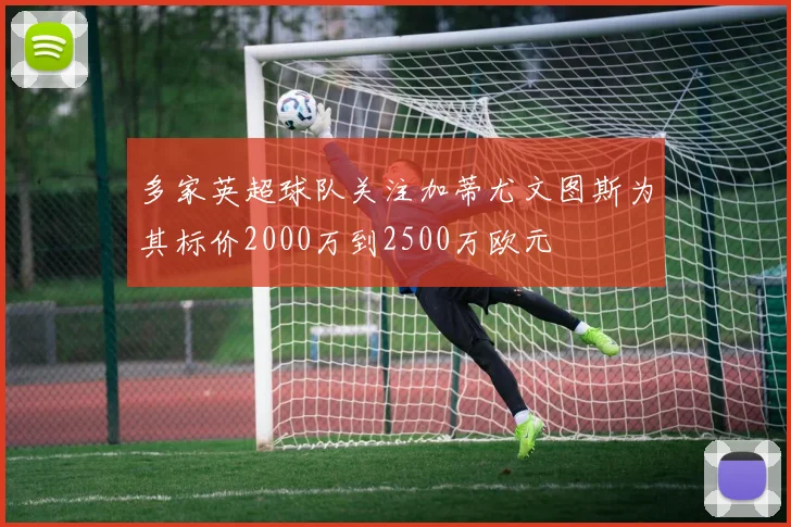 多家英超球队关注加蒂尤文图斯为其标价2000万到2500万欧元