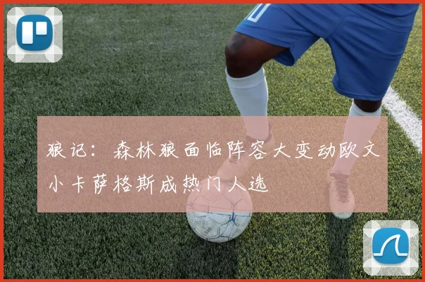 狼记：森林狼面临阵容大变动欧文小卡萨格斯成热门人选